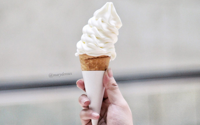 Hokkaido Baked Cheese Tart - Royal City