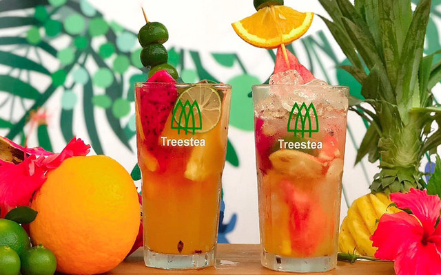 Treestea - Hợp Tác Xã Trà Chanh