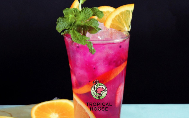 Tropical House - Hoàng Đạo Thành