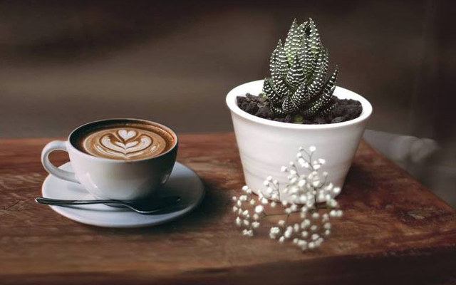Bon Sai Coffee & Milktea