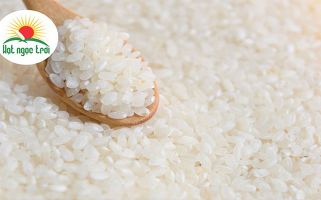 Vua Gạo - Gạo Hạt Ngọc Trời - Văn Chung