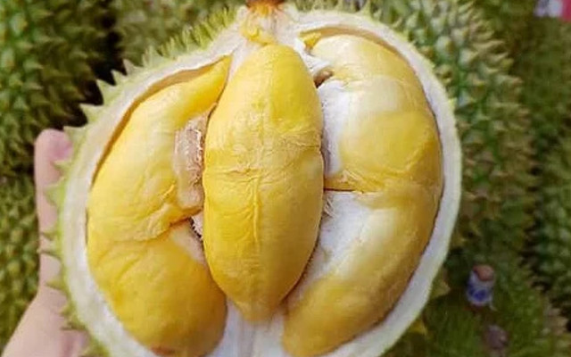 Cửa Hàng Sầu Riêng VMT