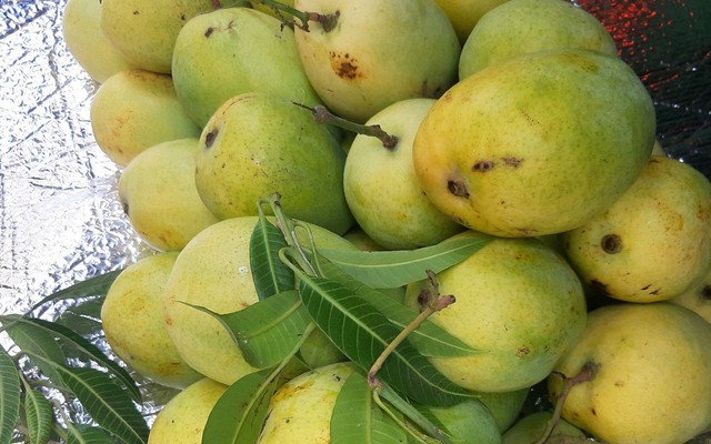 Đặc Sản Bến Tre - Ăn Vặt