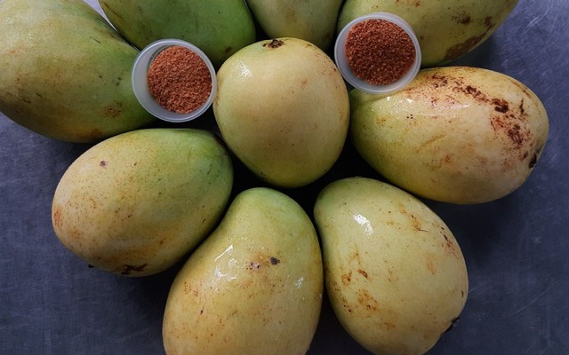 Đặc Sản Bến Tre - Trái Cây Dầm & Nước Ép - Shop Online