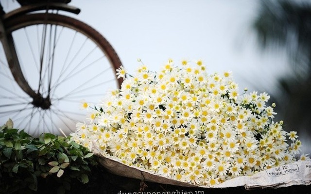 garena test new cluster server 5