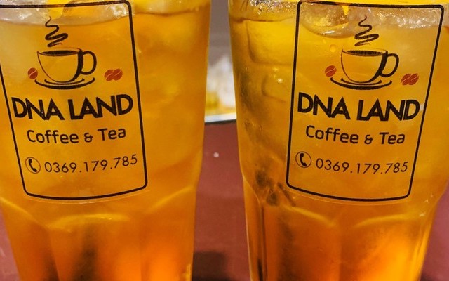 DNA Land & Coffee