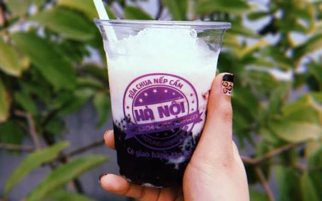 Sữa Chua Nếp Cẩm Hà Nội - Nguyễn Hoàng