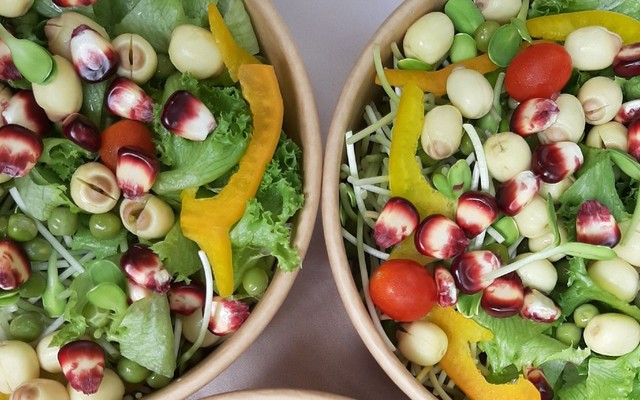 Vtech Farms - Salad Rau Mầm - Shop Online