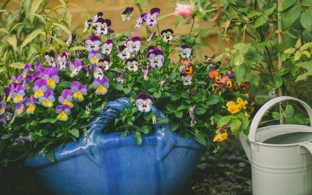 QA - Chi nhánh ở Điện Biên 9 - Commission on Discounted