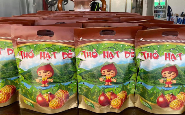 Thỏ Hạt Dẻ - Phan Trung