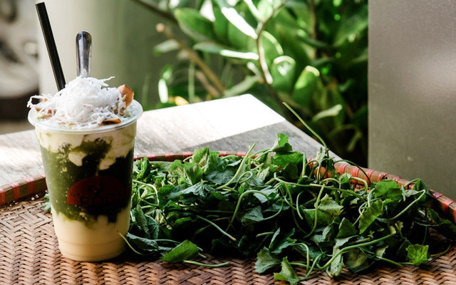 The Rooster Cafe, Dormitory & Studio