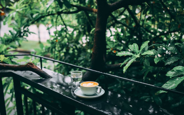 Thiên Hạt Specialty Coffee