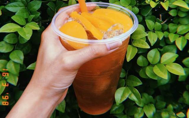 Tin Tin - Trà Đào & Trà Vải