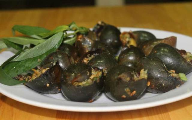 Ốc 67 - Tân Kỳ Tân Quý