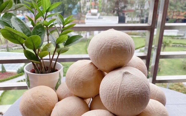 Dừa Xiêm Bến Tre