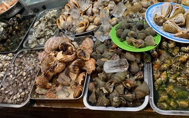 Cây Bàng - Ốc Bình Dân