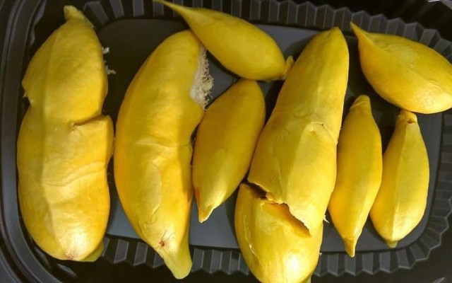 Thúy An - Sầu Riêng Sạch Chín Tự Nhiên