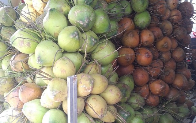 Fresh Coconut Ben Tre House - Chè Dừa