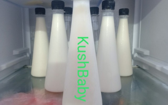 KushBaby - Sữa Chua Uống - Shop Online