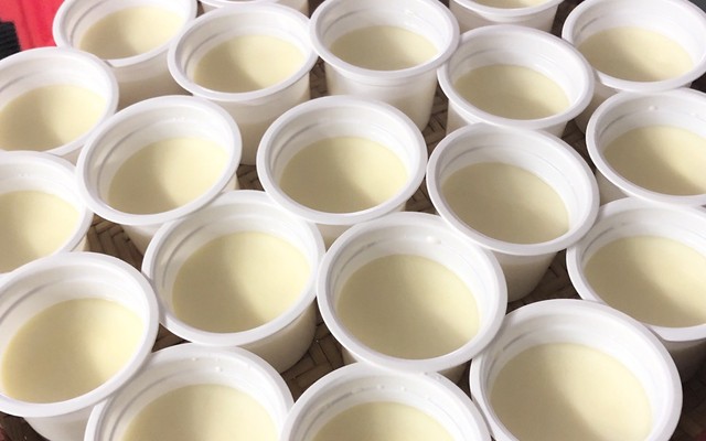 Nấm Thỏ - Sữa Chua & Sinh tố