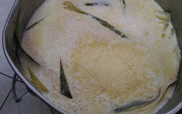 Thanh Đào - Sữa Đậu Nành Mix