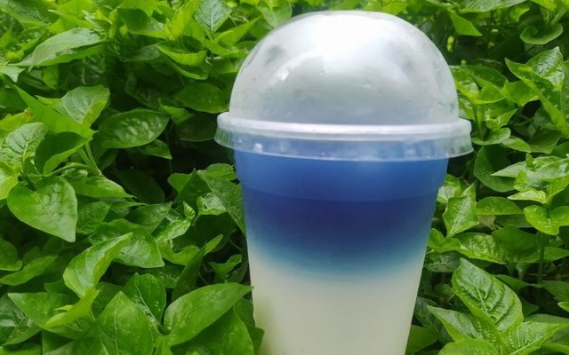 Camm Pi - Trà Hoa Quả & Trà Sữa - Shop Online