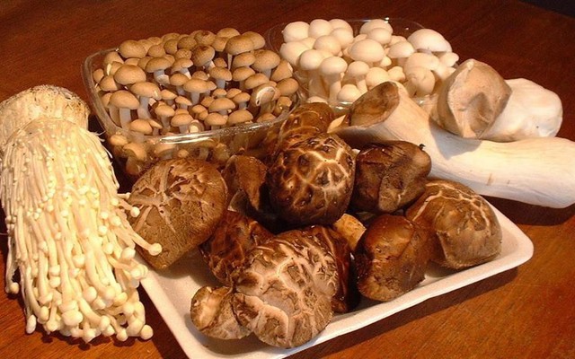 Nấm Sạch - Vũ Trọng Phụng