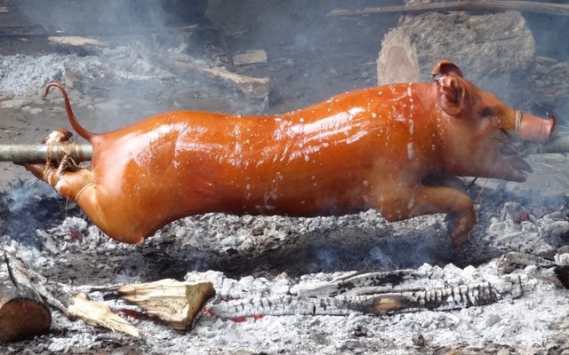 Heo Quay Sang Mập - Quang Trung