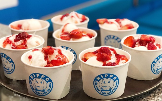 HIPPO Yogurt - Sữa Chua Trân Châu Hạ Long - Hội An