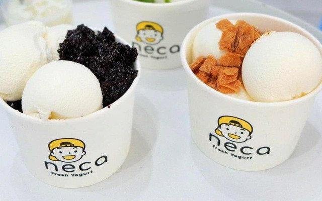 Neca Fresh Yogurt - Trần Hưng Đạo