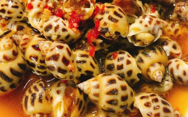 Ốc Bống - Trường Sa