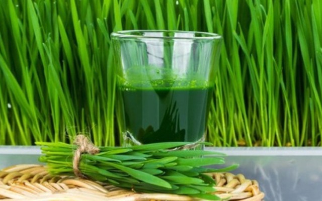 Tâm Tiểu Mạch - Nước Ép Cỏ Lúa Mì Mix