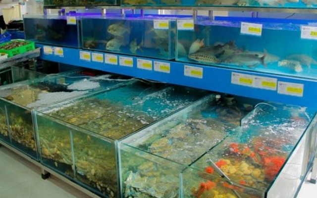 Hải Sản Tươi Sạch 2