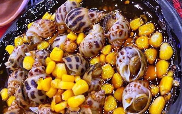 Ốc Đêm T3 - Trịnh Đình Thảo