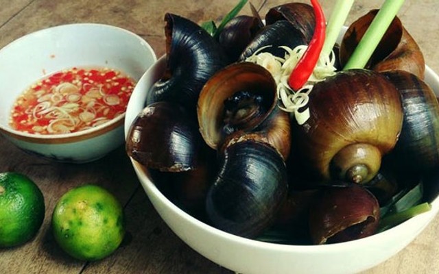 Ốc Phong -  Nguyễn Kiệm