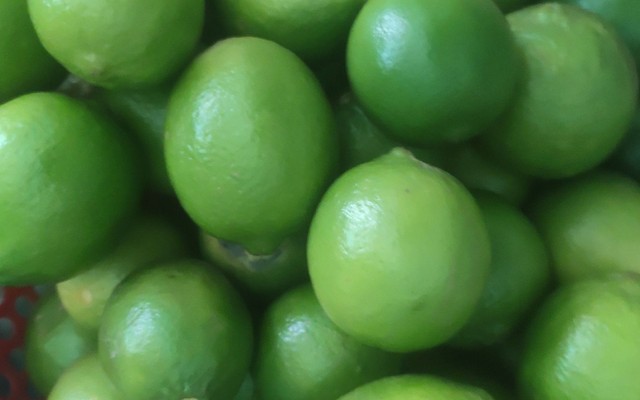 Bòn Bon - Trà Sữa Đài Loan