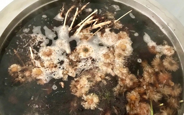 Nước Sâm Gia Truyền Hòa Hưng