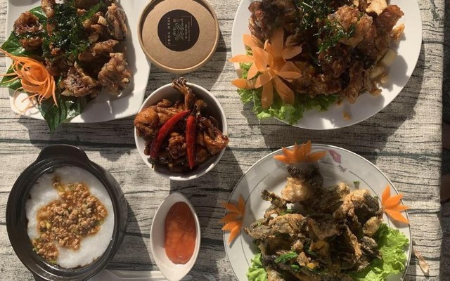 Cháo Ếch Frog Meal - Shop Online