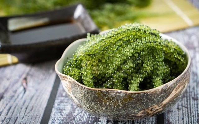 Rong Nho Biển Kimi - Shop Online
