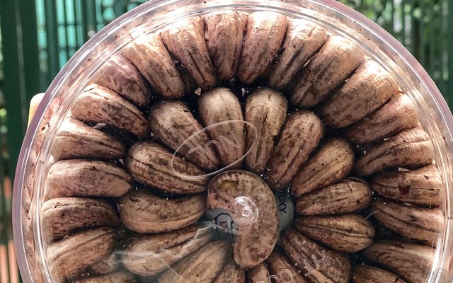 Bữa Trưa Vui Vẻ - Miến Trộn Hàn Quốc - Shop Online