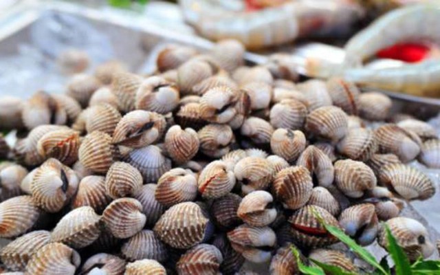 Kiều Anh - Đồ Biển