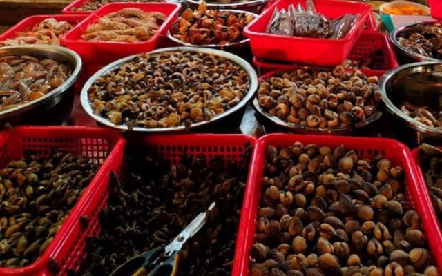 Ốc Lan Hương Hải Phòng - Ốc - Thuỵ Khuê