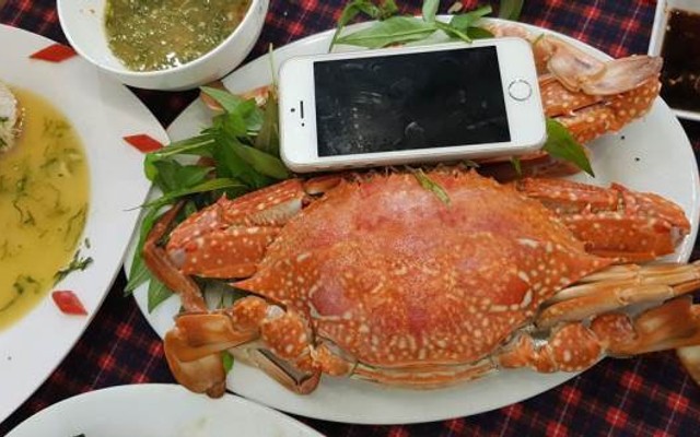 Đặc Sản Plus - Hải Sản Tươi Sống - Đường Số 23