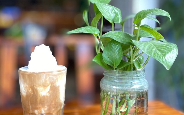 Mộc Coffee - Trà Chanh & Nước Ép Hoa Quả - Khương Thượng