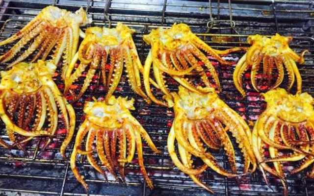 Mực Khổng Lồ HK