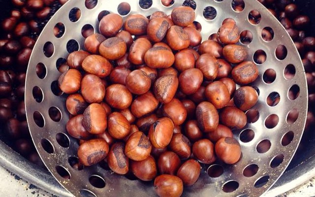 Thỏ Hạt Dẻ Vũng Tàu