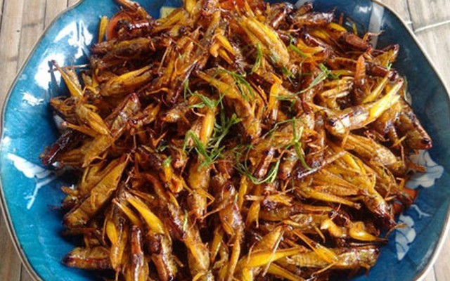 Quán Dế Mèn - Đặc Sản Côn Trùng
