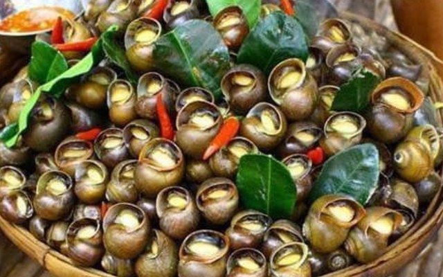 Ốc Nhớ Sài Gòn - Kim Đồng