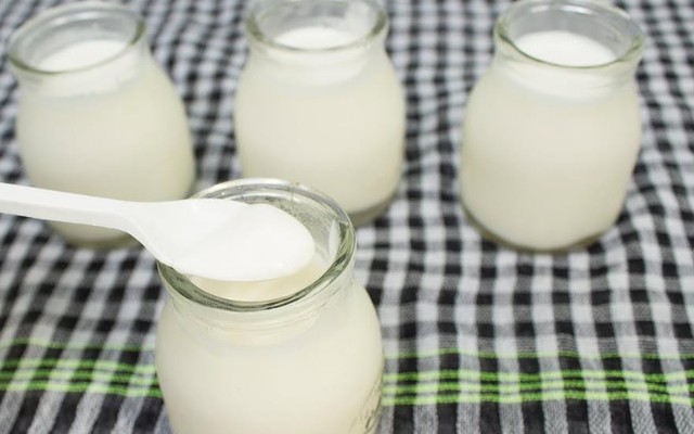 Sữa Chua Nhà Làm - Bảo Trường