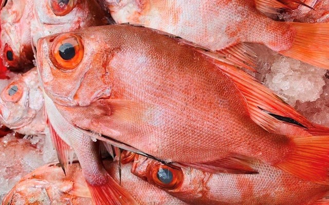Sạp Quê Em - Cá & Đặc Sản Nha Trang Bình Định